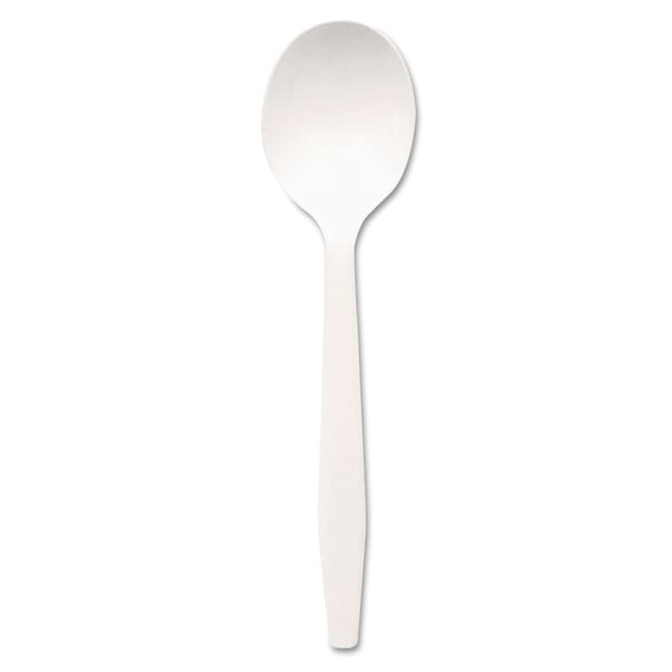 DIXIE FOOD SERVICE Plastic Cutlery, Mediumweight Soup Spoon, White, 1,000/Carton (DXEPSM21)