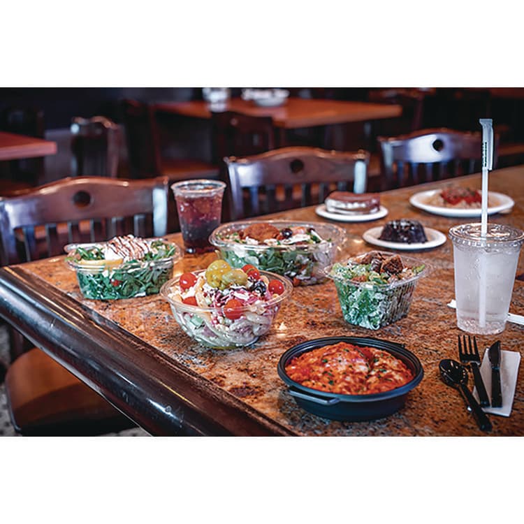 PACTIV EVERGREEN CORPORATION EarthChoice PFAS Free Compostable Dinnerware, Plate, Sugarcane, 10.25" dia, Natural, 500/Carton (PCTMC50010PFREE) thumbnail 4