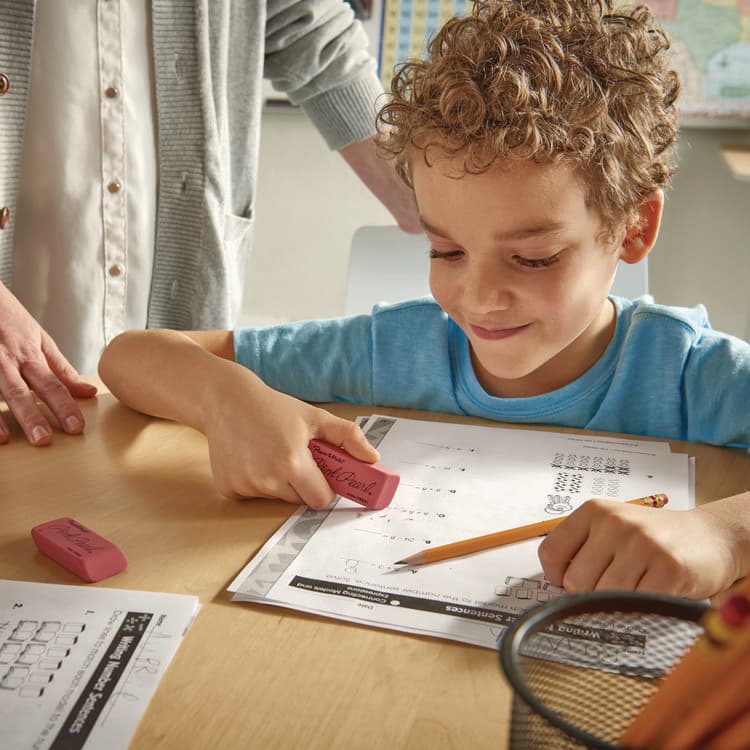 SANFORD Pink Pearl Eraser, For Pencil Marks, Rectangular Block, Medium, Pink, 24/Box (PAP70520) thumbnail 3