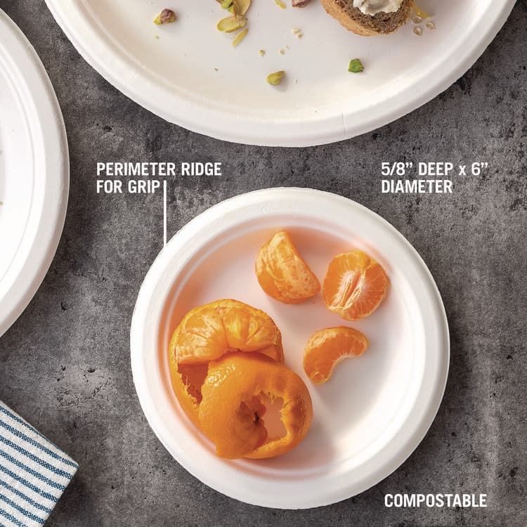PACTIV EVERGREEN CORPORATION EarthChoice PFAS Free Compostable Dinnerware, Plate, Sugarcane, 6" dia, Natural, 1,000/Carton (PCTMC50006PFREE) thumbnail 4