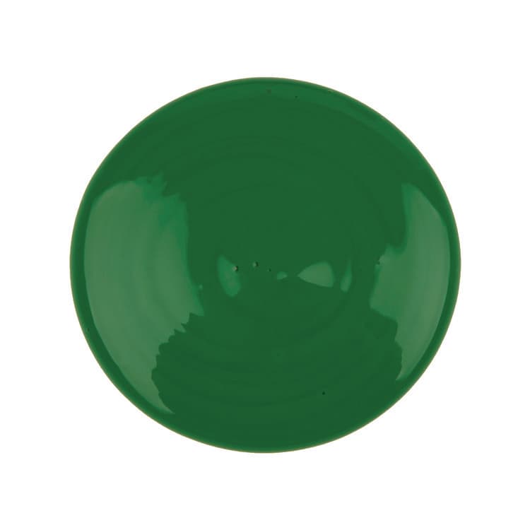 BINNEY & SMITH / CRAYOLA Washable Paint, Green, 16 oz Bottle (CYO542016044) thumbnail 4