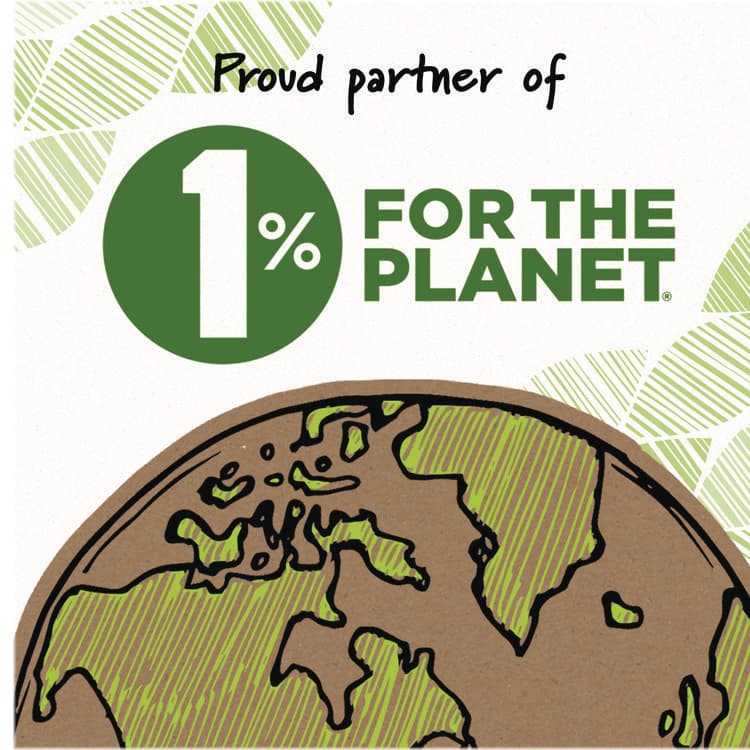 BIC CORP. Ecolutions Gel Pen, Retractable, Medium 1 mm, Assorted Ink Colors, Blue Barrel, 12/Pack (BICRGLE11AST) thumbnail 4