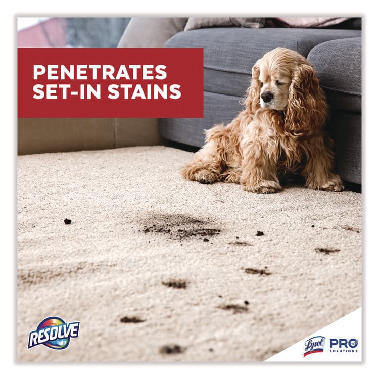 RECKITT BENCKISER Spot and Stain Carpet Cleaner, 32 oz Spray Bottle (RAC97402EA) thumbnail 4