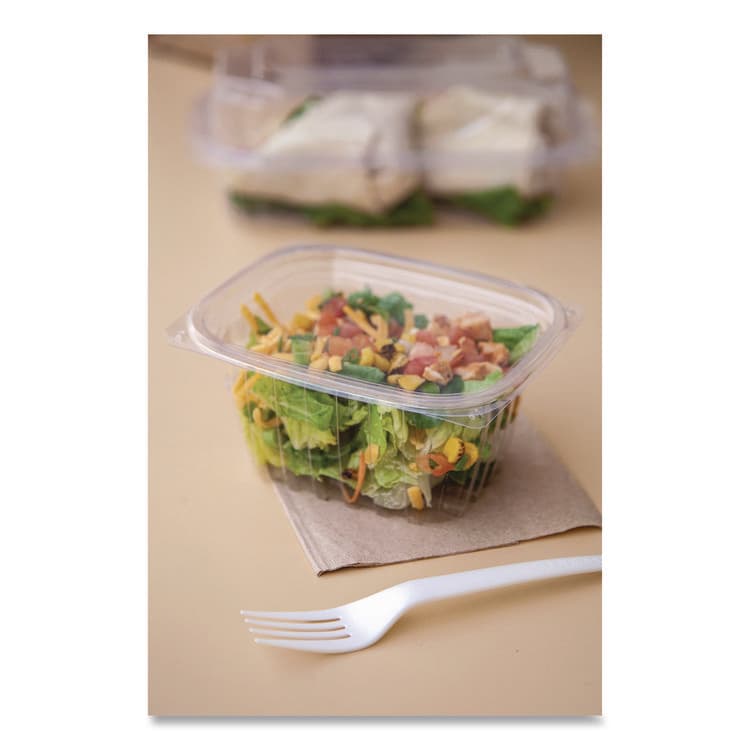 ECO-PRODUCTS,INC. Renewable and Compostable Rectangular Deli Containers with Lid, 16 oz, 3 x 4 x 3, Clear, Plastic, 100/Pack, 3 Packs/Carton (ECOEPRC16) thumbnail 2
