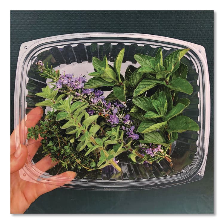 ECO-PRODUCTS,INC. Renewable and Compostable Rectangular Deli Containers with Lid, 24 oz, 4 x 5.5 x 2, Clear, Plastic, 50/Pack, 4 Packs/Carton (ECOEPRC24) thumbnail 2