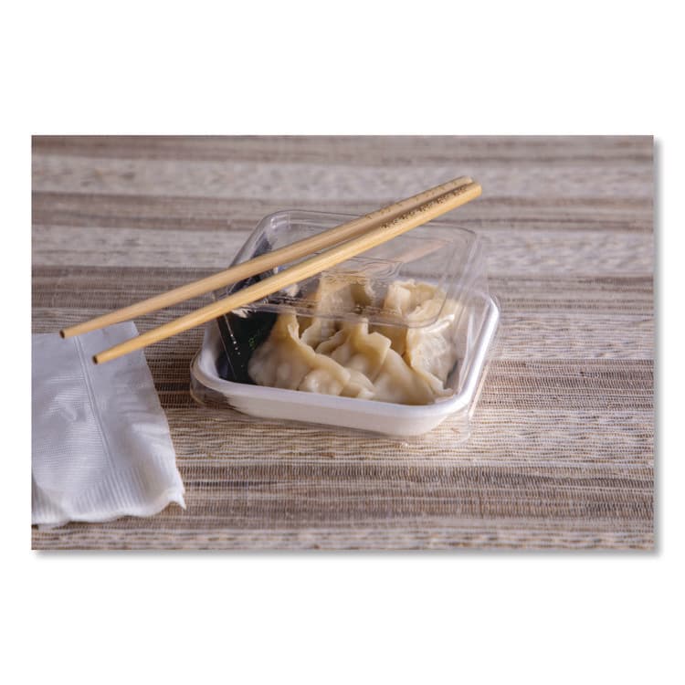 ECO-PRODUCTS,INC. WorldView Renewable Molded Fiber Containers, 10 oz, 5.04 x 5.04 x 1.09, White, 800/Carton (ECOEPSCS5) thumbnail 3