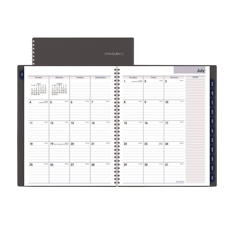 AT-A-GLANCE DayMinder Academic Weekly/Monthly Desktop Planner, 11 x 8.5, Charcoal Cover, 12-Month (July to June): 2025 to 2026 (AAGAYC52045)