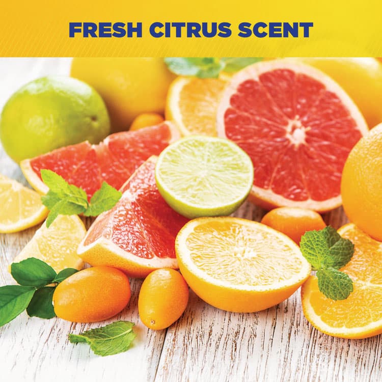 ZEP . Spirit II Ready-to-Use Detergent Disinfectant, Citrus Scent, 55 gal Drum (ZPE67986) thumbnail 4