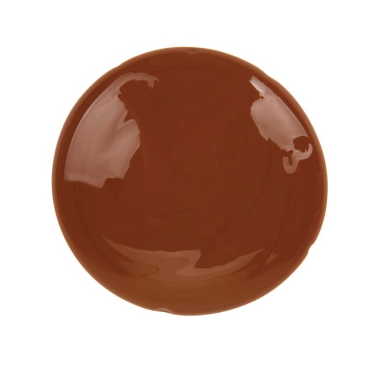 BINNEY & SMITH / CRAYOLA Washable Paint, Brown, 16 oz Bottle (CYO542016007) thumbnail 3