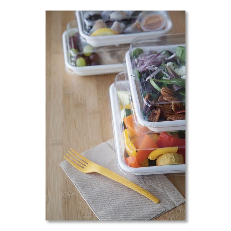 ECO-PRODUCTS,INC. Renewable and Compostable Lids, 8.8 x 8.8 x 1.64, Clear, Plastic, 200/Carton (ECOEPSCS9SLID) thumbnail 2