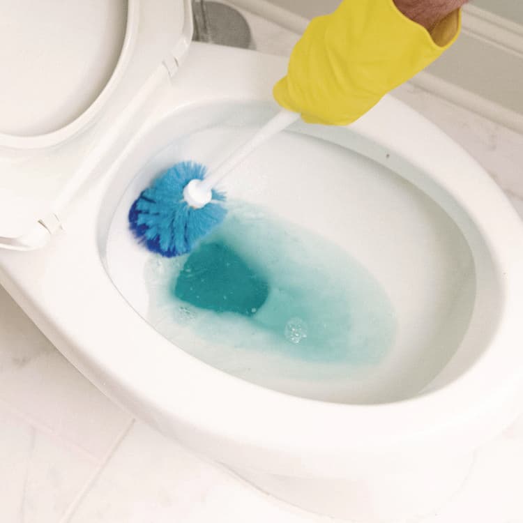 ZEP . Bowl Shine II, Pleasant Scent, 1 qt Bottle, 12/Carton (ZPE119709) thumbnail 2