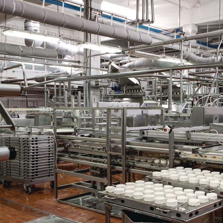 ZEP . FS Formula 4665, Chlorine Scent, 5 gal Pail (ZPE289035) thumbnail 2