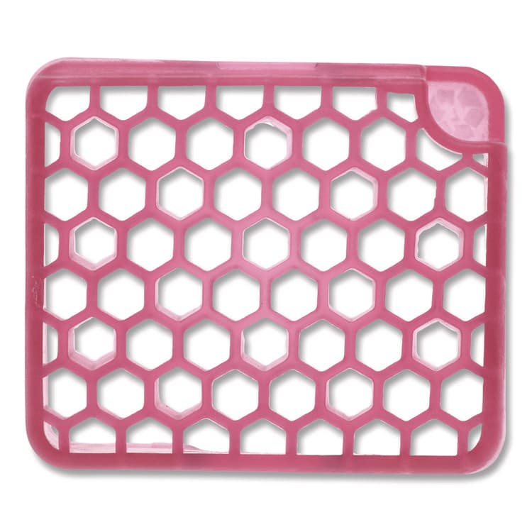 FRESH PRODUCTS myfresh Refill, Spiced Apple, 6/Box (FRSMYF36SABX)