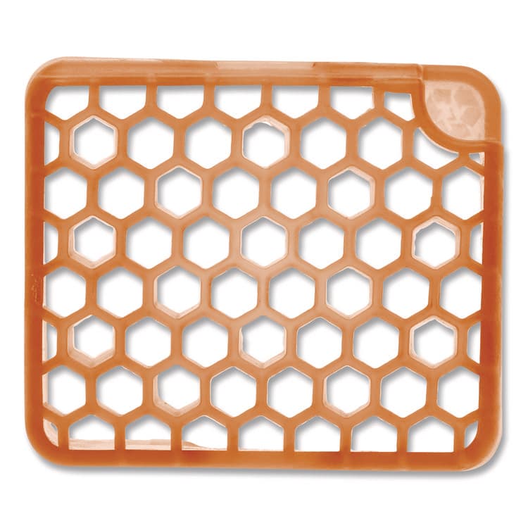 FRESH PRODUCTS myfresh Refill, Mango, 36/Carton (FRSMYF36MGCT)