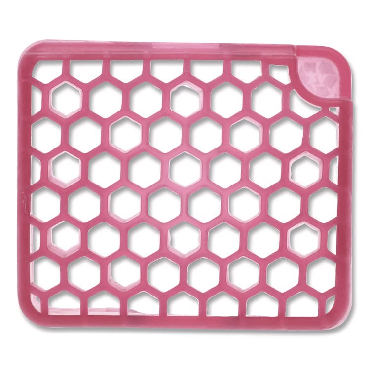 FRESH PRODUCTS myfresh Refill, Spiced Apple, 36/Carton (FRSMYF36SACT)