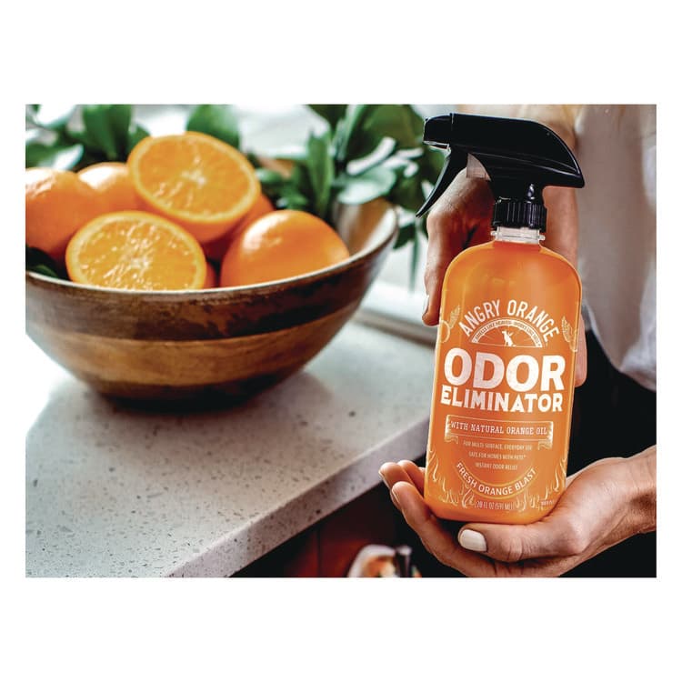 THRASIO Pet Odor Eliminator Spray, Fresh Orange Blast Scent, 20 oz Spray Bottle (IDEAOR20OZ) thumbnail 3
