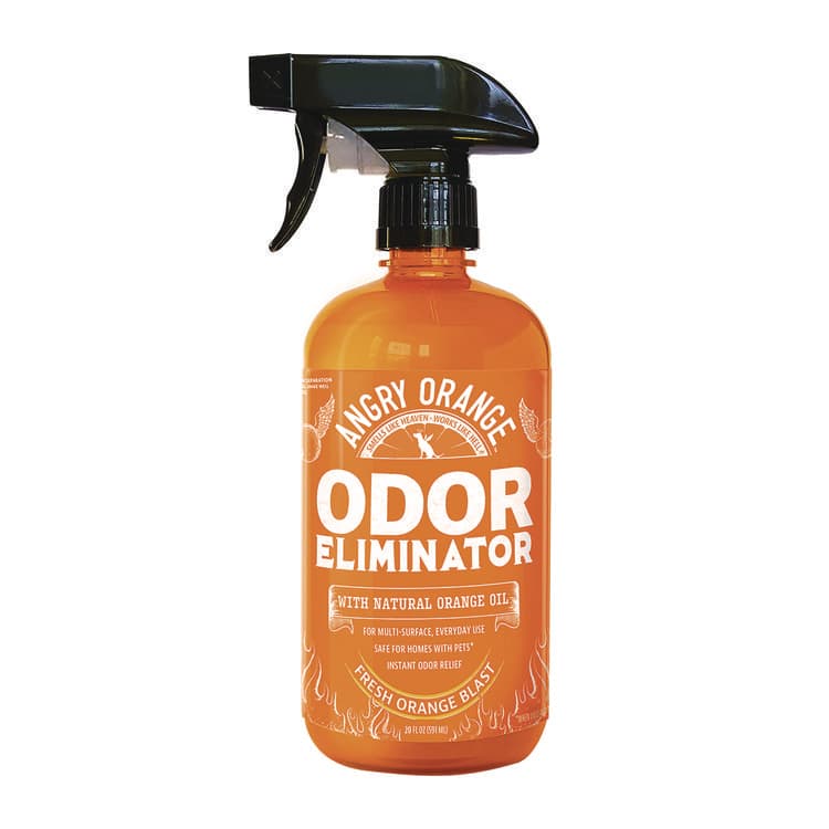 THRASIO Pet Odor Eliminator Spray, Fresh Orange Blast Scent, 20 oz Spray Bottle (IDEAOR20OZ)