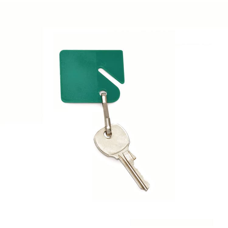 ADIROFFICE Plastic Identification Key Tags, Plastic, Assorted Colors, 20/Pack (ALH68920COLORED) thumbnail 3