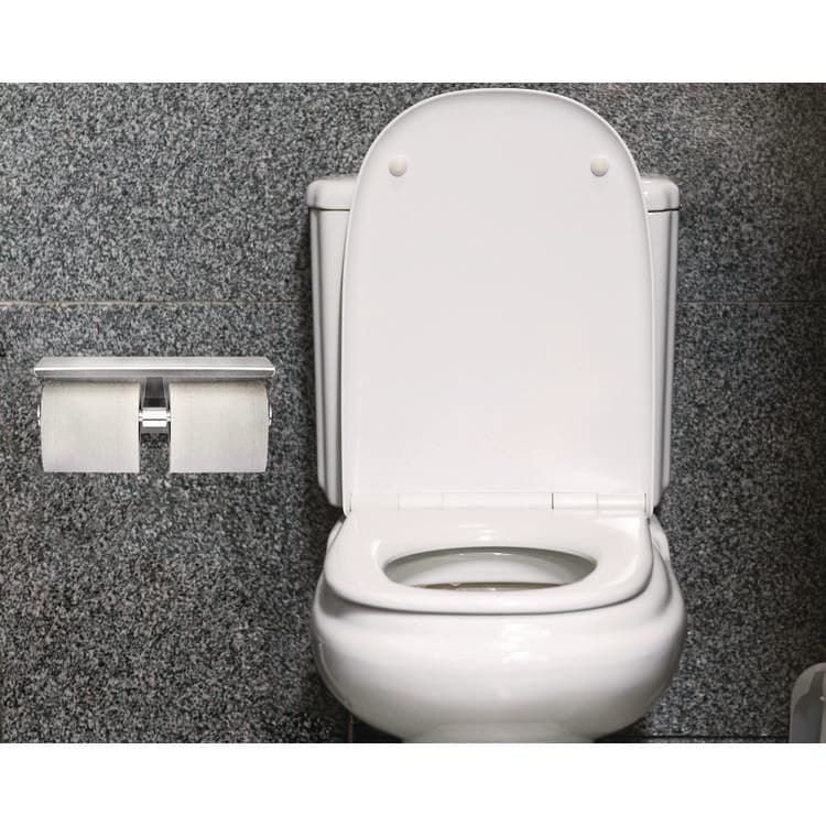 ALPINE INDUSTRIES Double Post Toilet Paper Holder with Shelf Storage Rack, 3.87 x 10.5 x 3.95, Brushed Stainless Steel (ALHALP487B) thumbnail 3