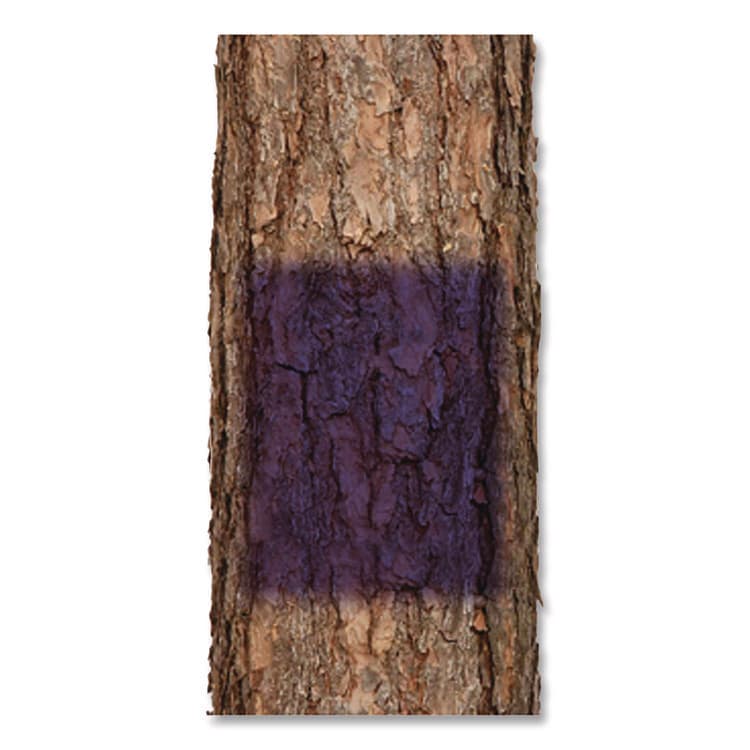 RUST-OLEUM CORPORATION Specialty No Hunting Purple Spray Paint, Flat No Hunting Purple, 12 oz Aerosol Can (RST270970) thumbnail 4