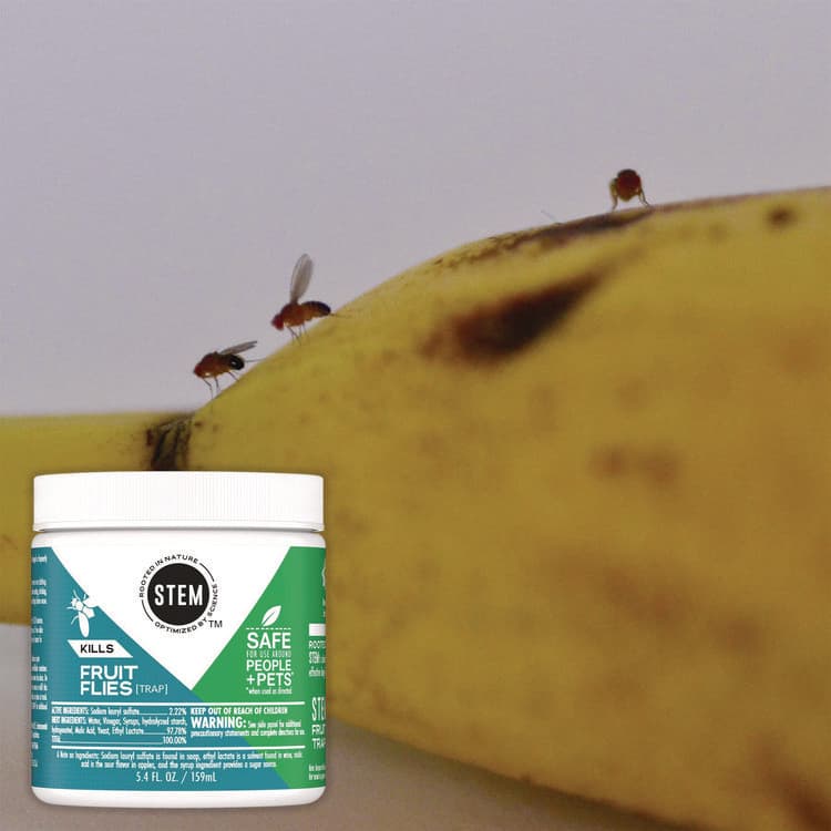 SC JOHNSON STEM Fruit Flies Trap, 5.4 oz Jar, 8/Carton (SJN329965) thumbnail 2