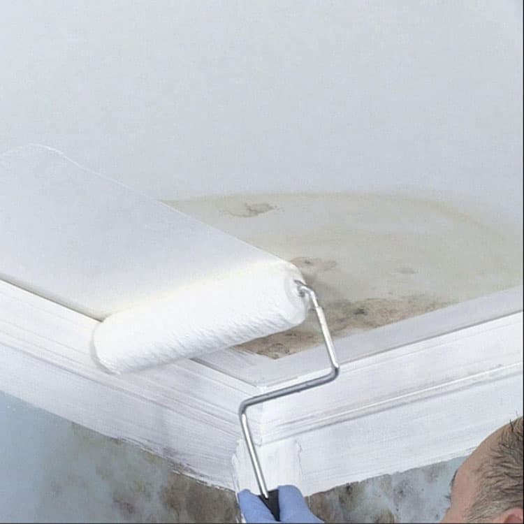 RUST-OLEUM CORPORATION Mold Killing Primer, Flat White, 1 qt Bucket/Pail, 4/Carton (RST276087CT) thumbnail 4