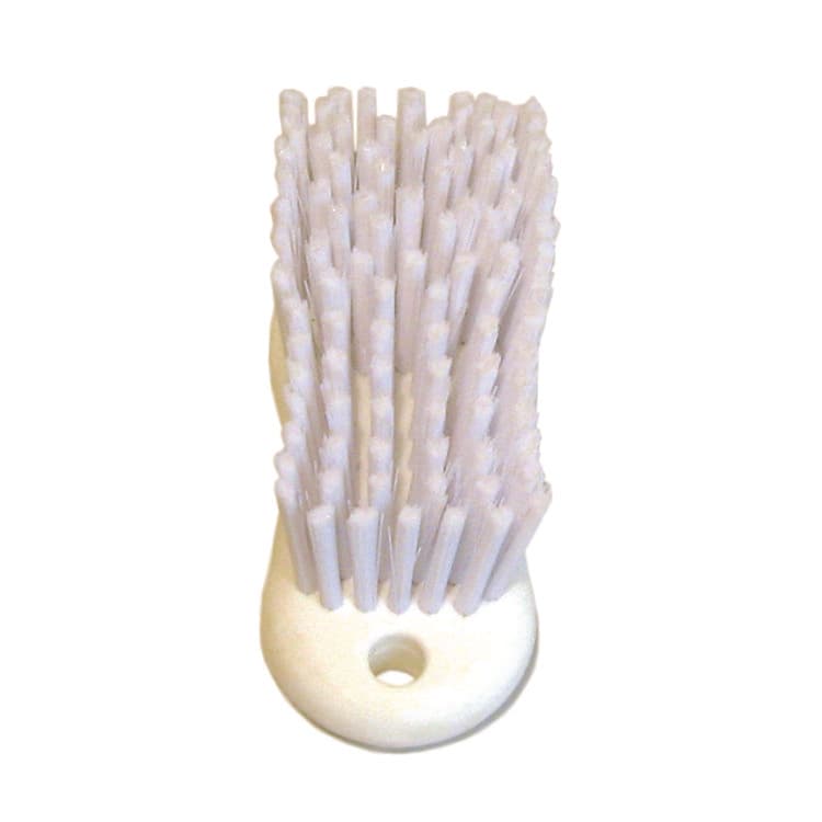 BOARDWALK Scrub Brush, White Polypropylene Bristles, 6" Brush, 6" Handle (BWKFSCBWH) thumbnail 3