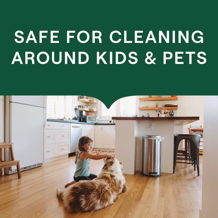 SEVENTH GENERATION Multi-Surface Wipes, 7 x 7, Lemon Zest, White, 70 Wipes/Canister, 6/Carton (SEV69657417) thumbnail 4