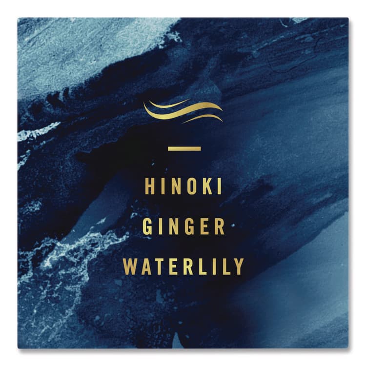 PROCTER & GAMBLE AIR, Ocean, 8.8 oz Aerosol Spray, 2/Pack (PGC48312PK) thumbnail 3