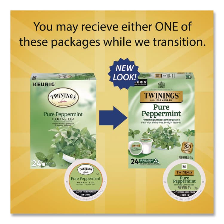 KEURIG DR PEPPER Tea K-Cups, Pure Peppermint, 0.11 oz, 24/Box (TWGTNA85813) thumbnail 2