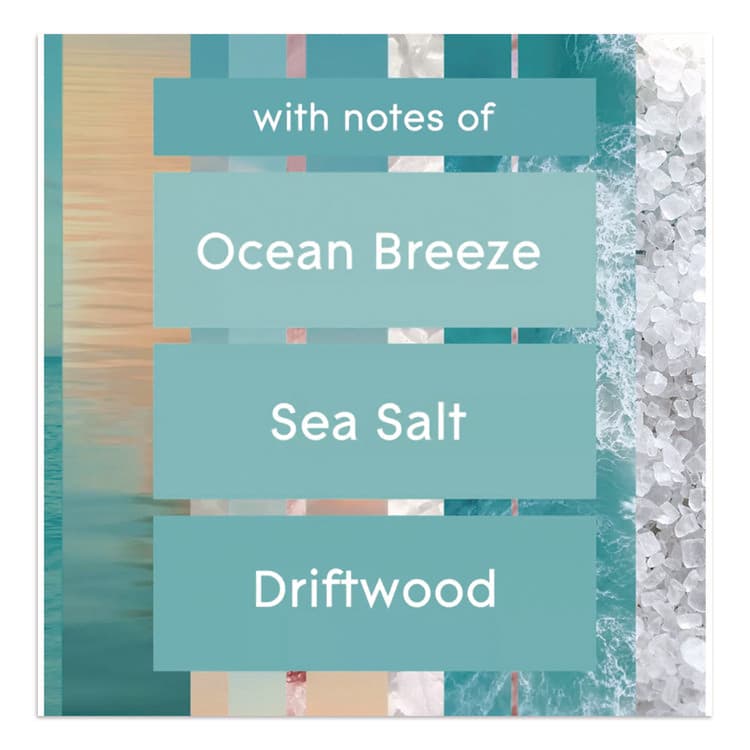 SC JOHNSON Plugin Scented Oil Refill, Sky and Sea Salt, 0.67 oz, 2/Pack (SJN337880) thumbnail 4