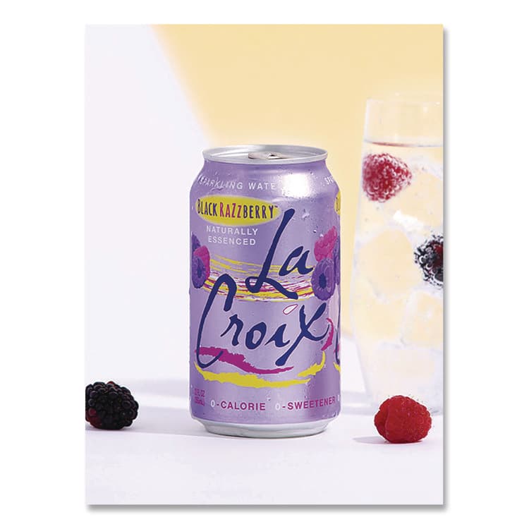 NATIONAL BEVERAGE CORP. Sparkling Water, Black Razzberry, 12 oz Can, 12 Cans/Pack, 2 Packs/Carton (LCXNAV40112) thumbnail 4