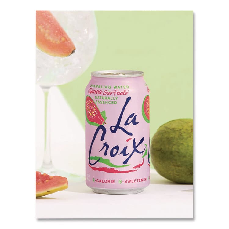 NATIONAL BEVERAGE CORP. Sparkling Water, Guava Sao Paulo, 12 oz Can, 12 Cans/Pack, 2 Packs/Carton (LCXNAV40113) thumbnail 4