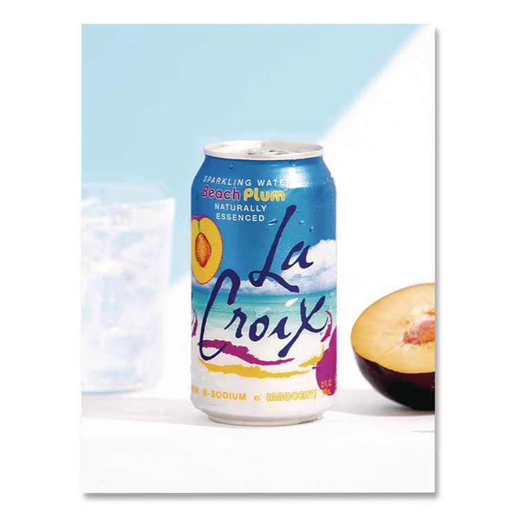 NATIONAL BEVERAGE CORP. Sparkling Water, Beach Plum, 12 oz Can, 12 Cans/Pack, 2 Packs/Carton (LCXNAV40114) thumbnail 4