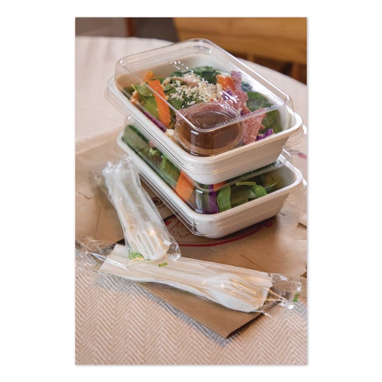 ECO-PRODUCTS,INC. WorldView Vanguard Rectangular Container, 32 oz, 4.71 x 7.01 x 1.04, White, Sugarcane Fiber, 400/Carton (ECOEPSCRC32NFA) thumbnail 3