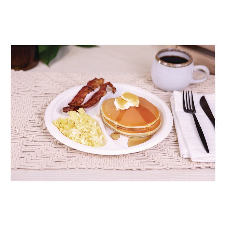 SOUTHERN CHAMPION TRAY ChampWare Molded Fiber Tableware, 3-Compartment Plate, 10" dia, White, 125/Sleeve, 4 Sleeves/Carton (SCH18163WPF) thumbnail 4