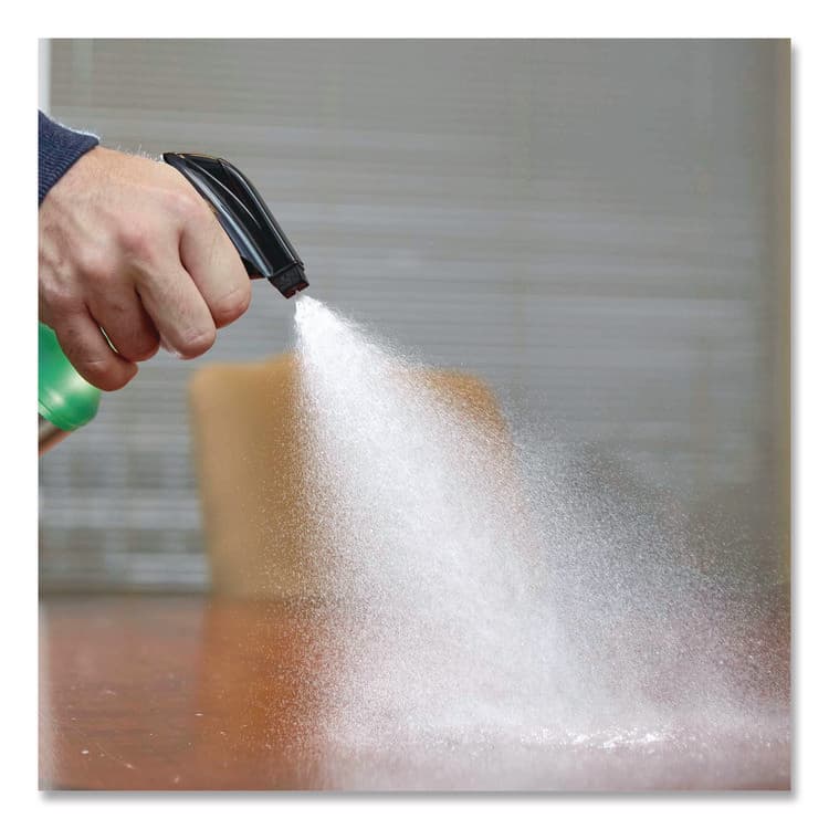 RUST-OLEUM CORPORATION Professional General Purpose Cleaner, 1 gal Jug, 4/Carton (RST352262) thumbnail 2