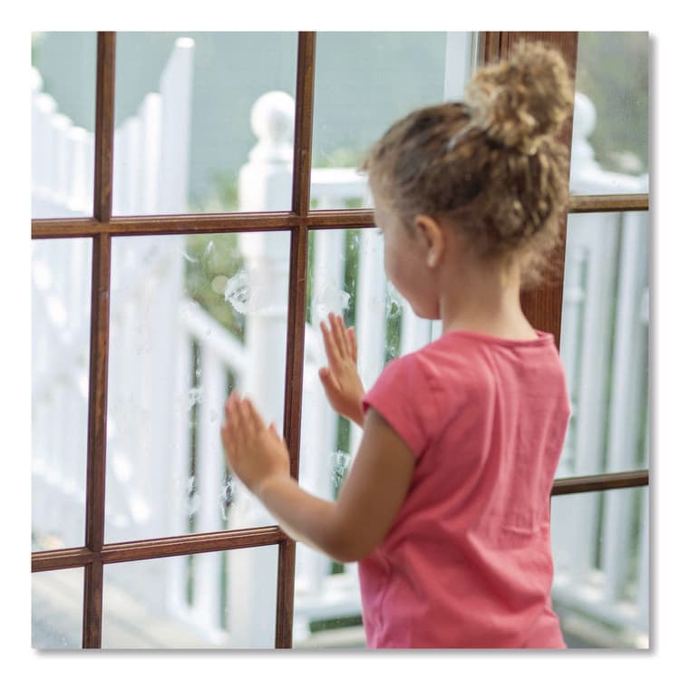 RUST-OLEUM CORPORATION Professional Glass Cleaner, 1 gal Jug, 4/Carton (RST352243) thumbnail 2