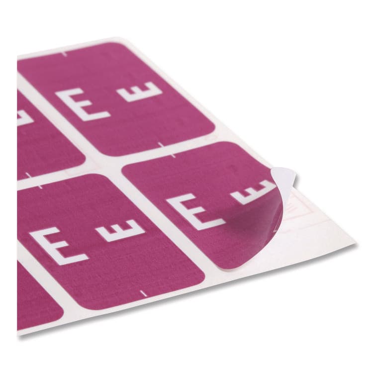 SMEAD MANUFACTURING CO. AlphaZ Color-Coded Second Letter Alphabetical Labels, E, 1 x 1.63, Purple, 10/Sheet, 10 Sheets/Pack (SMD67175) thumbnail 4
