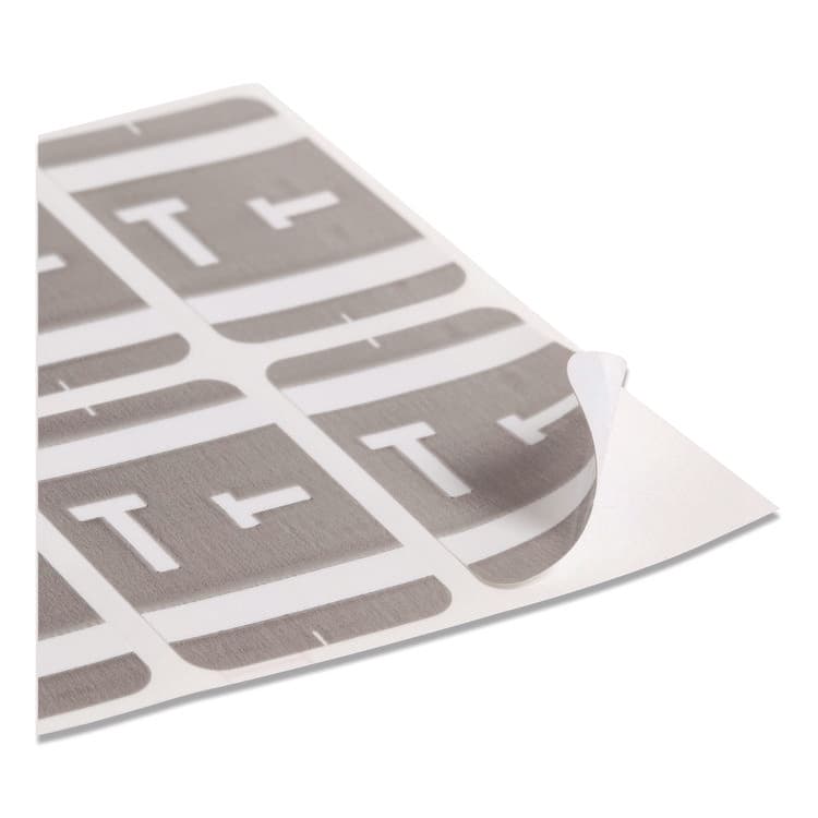 SMEAD MANUFACTURING CO. AlphaZ Color-Coded Second Letter Alphabetical Labels, T, 1 x 1.63, Gray, 10/Sheet, 10 Sheets/Pack (SMD67190) thumbnail 4