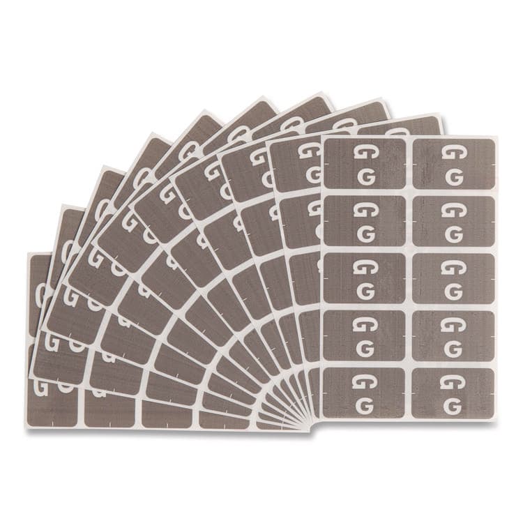 SMEAD MANUFACTURING CO. AlphaZ Color-Coded Second Letter Alphabetical Labels, G, 1 x 1.63, Gray, 10/Sheet, 10 Sheets/Pack (SMD67177)