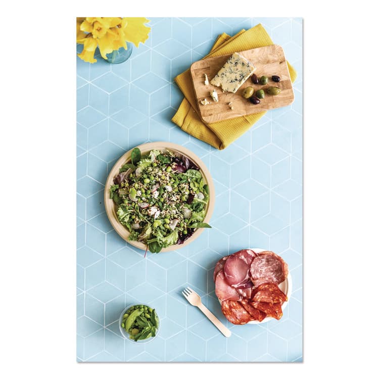 VEGWARE Nourish Molded Fiber Tableware, Compostable, Plate, Sugarcane, 10" dia, White, 500/Carton (VEGVWP005NFA) thumbnail 4