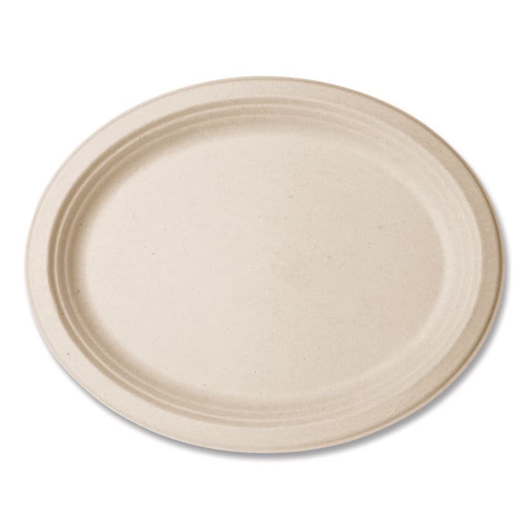 VEGWARE Nourish Molded Fiber Tableware, Compostable, Platter, Sugarcane, 8 x 10, White, 500/Carton (VEGVWP009NFA)