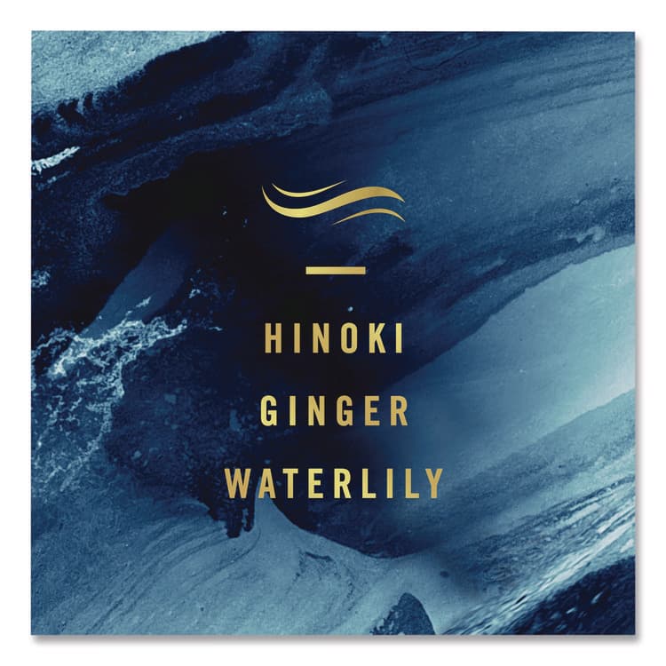 PROCTER & GAMBLE AIR, Ocean, 8.8 oz Aerosol Spray, 3/Pack (PGC43888) thumbnail 4
