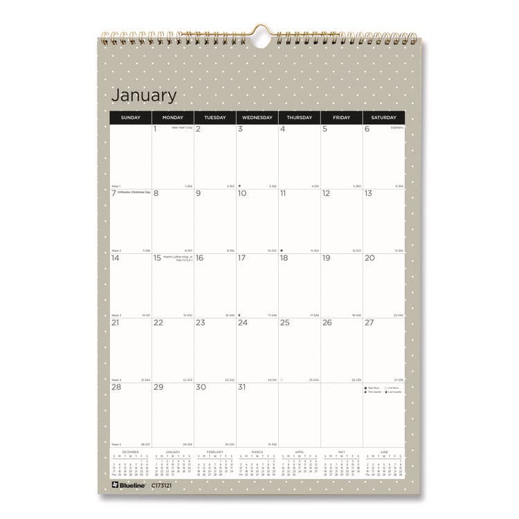 REDIFORM OFFICE PRODUCTS 12-Month Wall Calendar, Minimalistic Artwork, 12 x 17, White/Multicolor Sheets, 12-Month (Jan to Dec): 2026 (REDC173121)