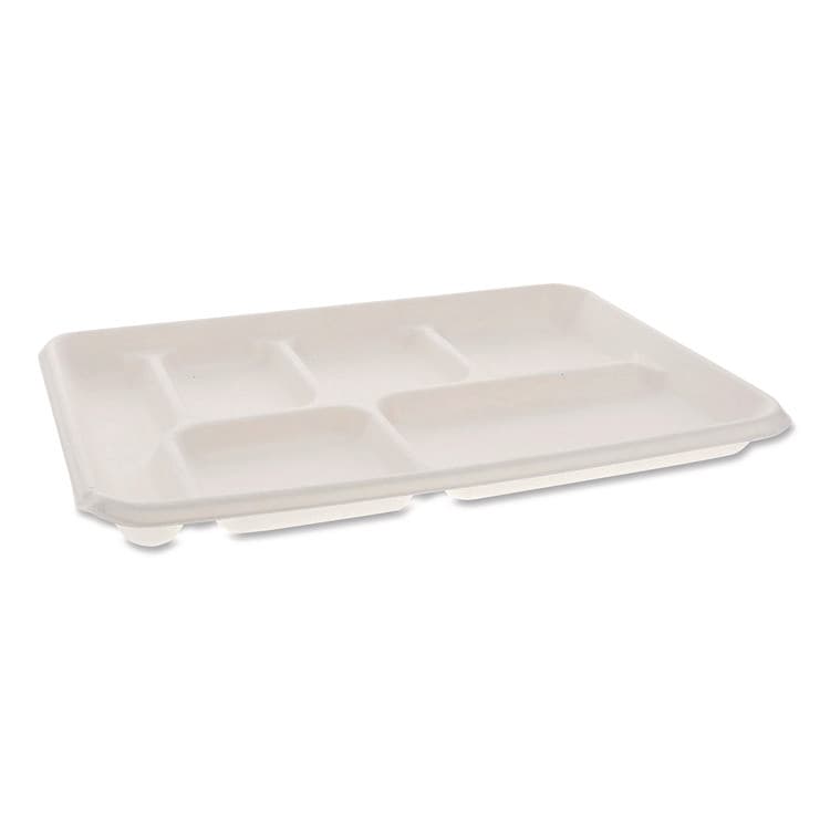 PACTIV EVERGREEN CORPORATION Compostable Fiber Blend School Lunch Tray, Heavy Duty, 8 x 12 x 1, White, 250/Carton (PCTMC50601) thumbnail 2