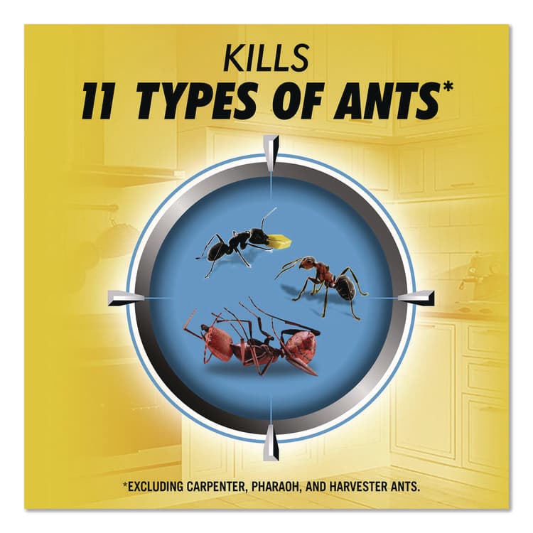 DIAL PROFESSIONAL Max 2-in-1 Ant Bait, 4/Pack, 8 Packs/Carton (DIA07172) thumbnail 4