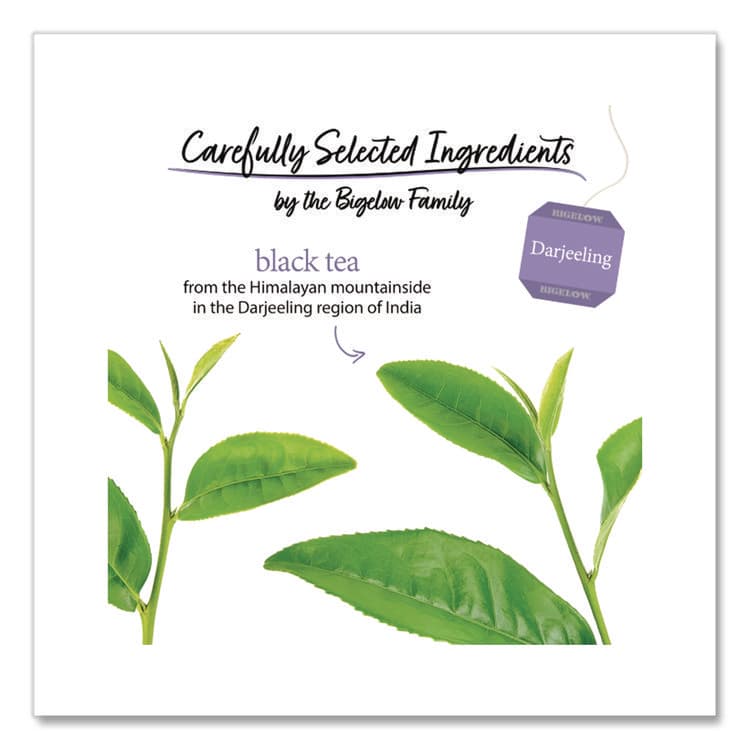 BIGELOW TEA CO. Darjeeling Black Tea Bags, 0.08 Tea Bag, 28/Box (BTCRCB003491) thumbnail 3