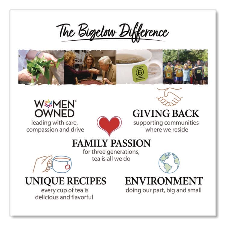 BIGELOW TEA CO. steep Cafe Organic Green Tea, Tropical, 50 Bags/Carton (BTCRCB19969) thumbnail 3