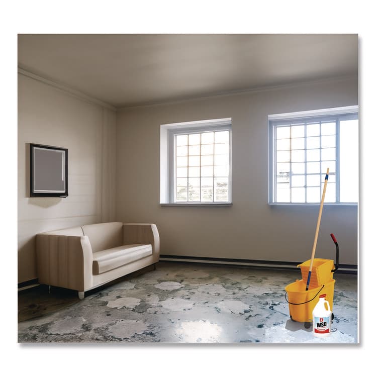 BIG D Water-Soluble Deodorant, Cinnamon, 1 gal Bottle, 4/Carton (BGD1611) thumbnail 4